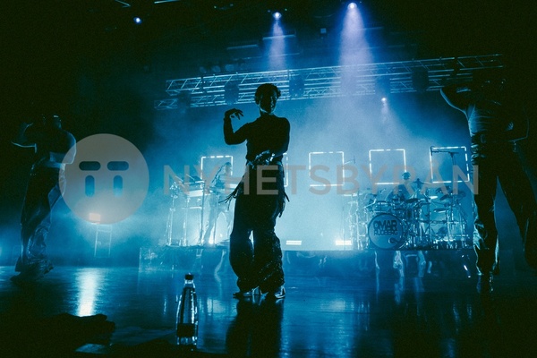 (c) Elena Di Vincenzo
