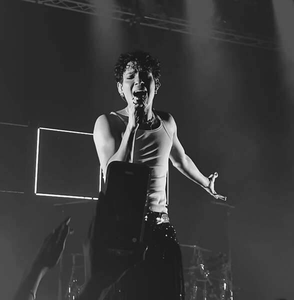 (c) louise_malmquist
