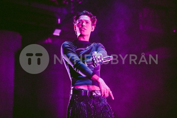 (c) Elena Di Vincenzo
