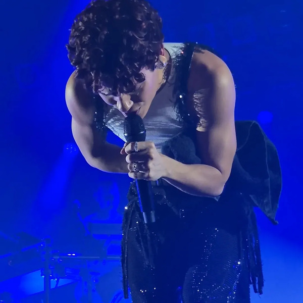 (c) omarworlddomination
